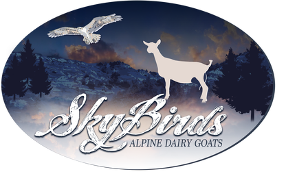 Skybirds Alpine Dairy Goats
